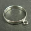 *Platinfarvede Fingerringe med loop
