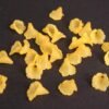 Trompetblomster i acryl, gule(25stk.)