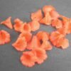 Trompetblomster i acryl, orange(20stk.)