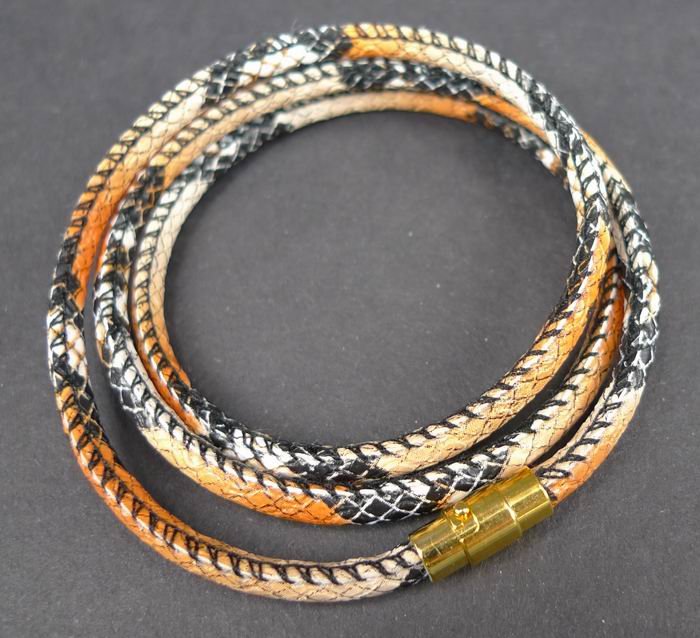 Inspiration orangesnake