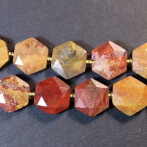 Hexagon, Petrified Wood