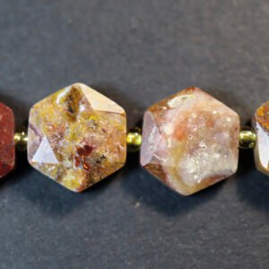 Hexagon, Petrified Wood