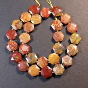 Hexagon, Petrified Wood