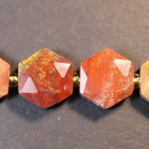 Hexagon, Petrified Wood